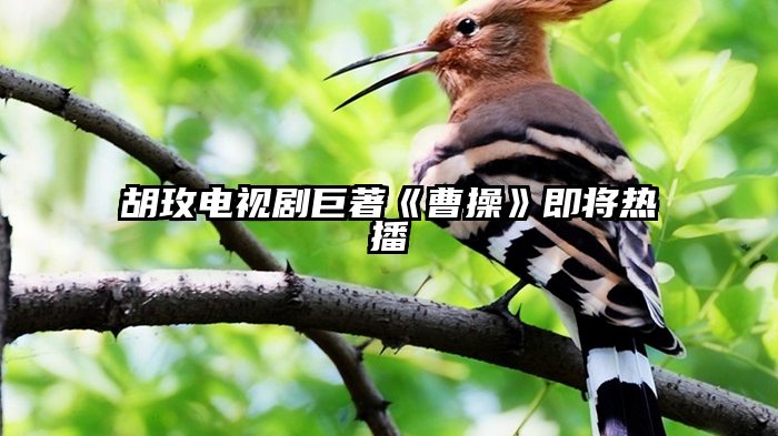 胡玫电视剧巨著《曹操》即将热播