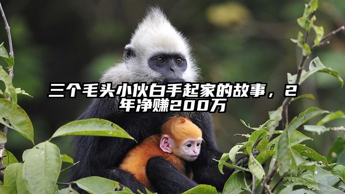 三个毛头小伙白手起家的故事，2年净赚200万