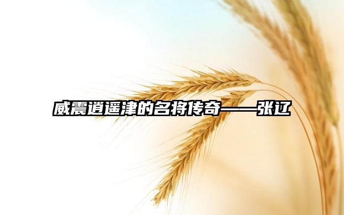 威震逍遥津的名将传奇——张辽