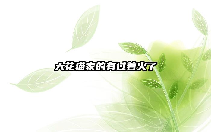 大花猫家的有过着火了