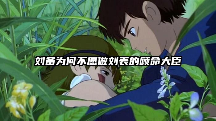刘备为何不愿做刘表的顾命大臣