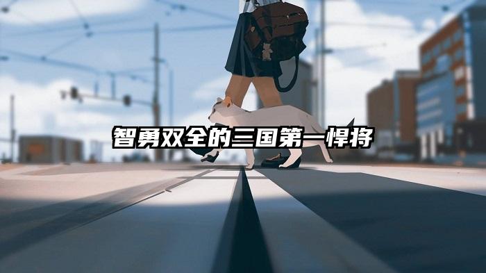 智勇双全的三国第一悍将