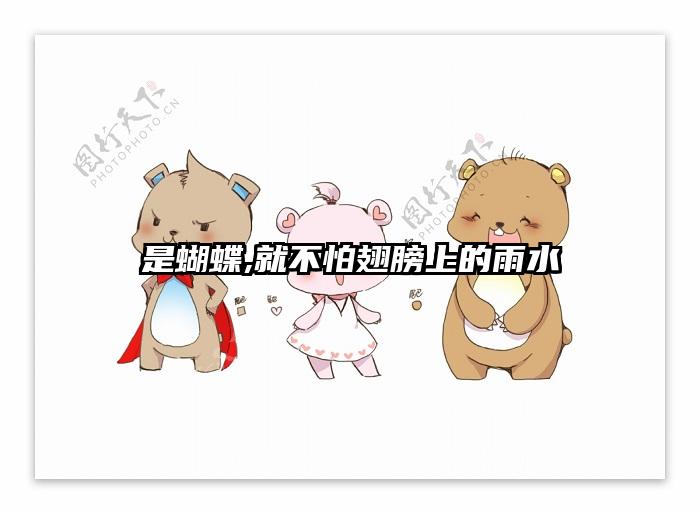是蝴蝶,就不怕翅膀上的雨水