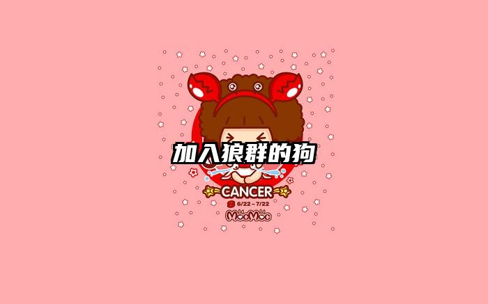 加入狼群的狗