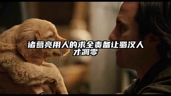 诸葛亮用人的求全责备让蜀汉人才凋零