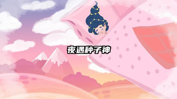 夜遇种子神