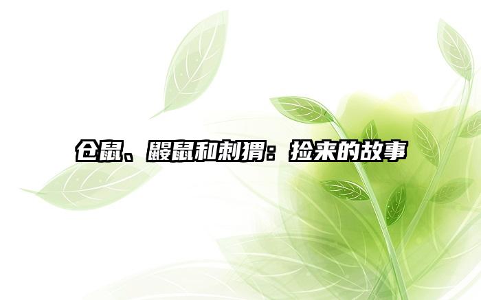 仓鼠、鼹鼠和刺猬：捡来的故事
