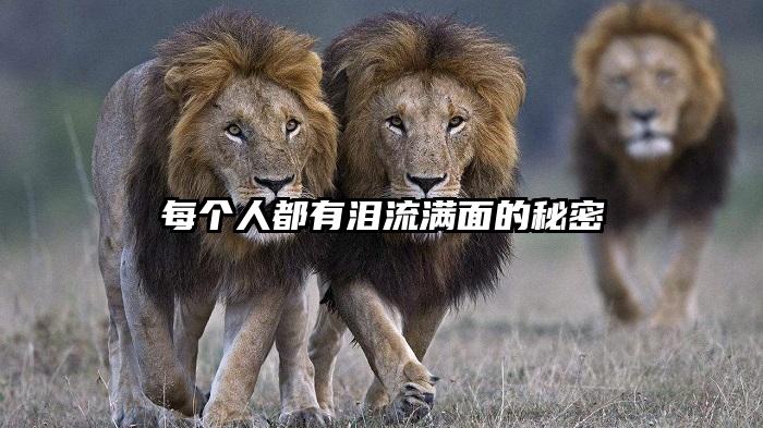 每个人都有泪流满面的秘密