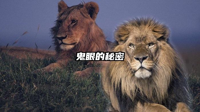 鬼眼的秘密