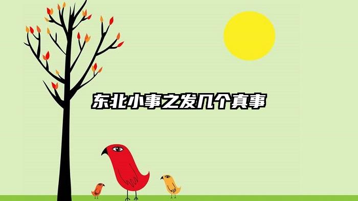 东北小事之发几个真事