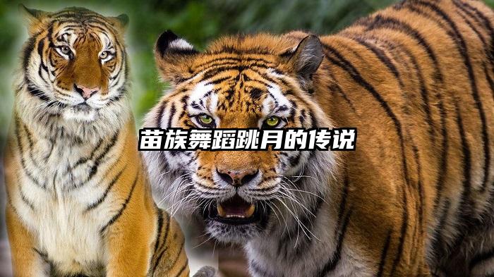 苗族舞蹈跳月的传说
