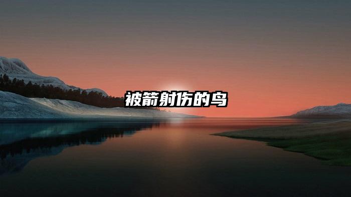 被箭射伤的鸟