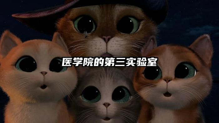 医学院的第三实验室