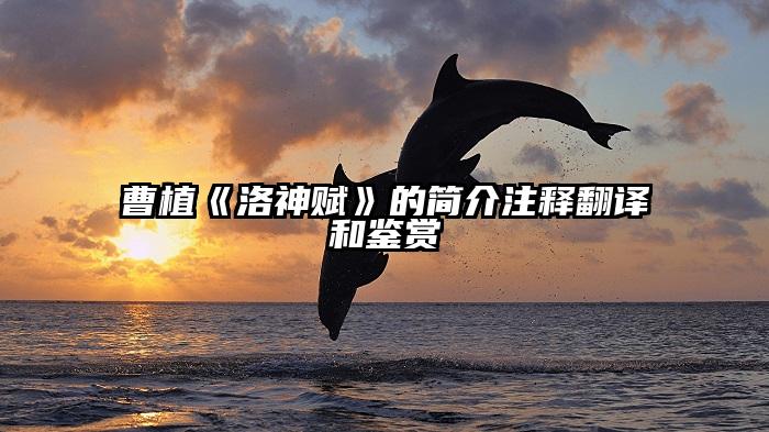 曹植《洛神赋》的简介注释翻译和鉴赏
