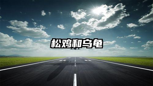 松鸡和乌龟