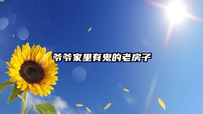 爷爷家里有鬼的老房子