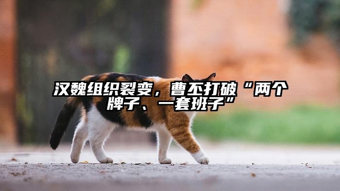 汉魏组织裂变，曹丕打破“两个牌子、一套班子”