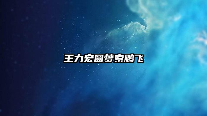 王力宏圆梦索鹏飞