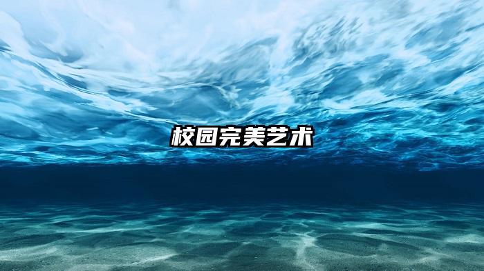 校园完美艺术