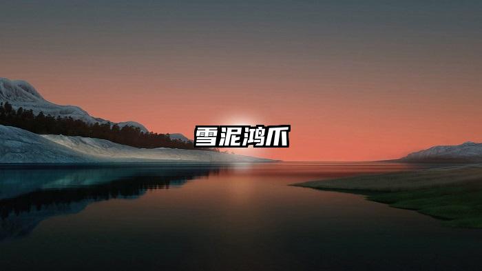 雪泥鸿爪