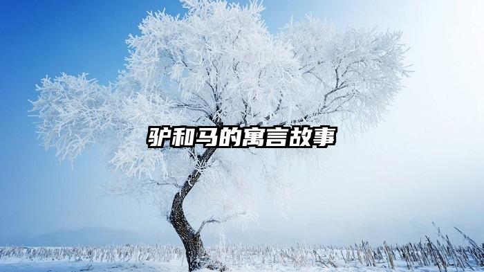 驴和马的寓言故事