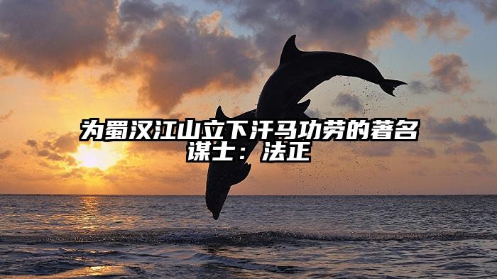 为蜀汉江山立下汗马功劳的著名谋士：法正