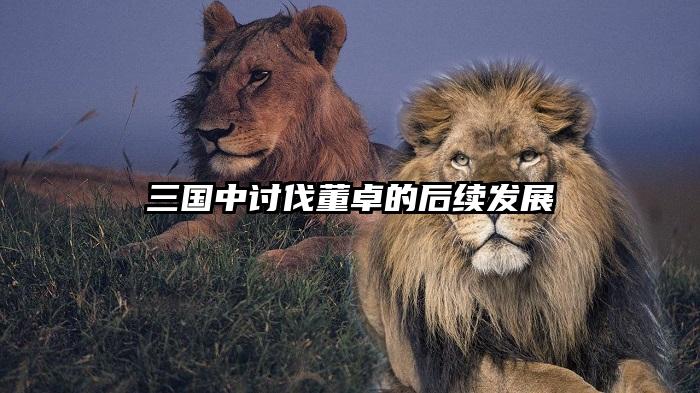 三国中讨伐董卓的后续发展