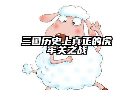 三国历史上真正的虎牢关之战