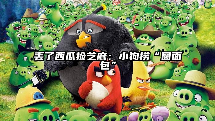 丢了西瓜捡芝麻：小狗捞“圆面包”