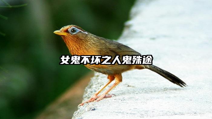 女鬼不坏之人鬼殊途