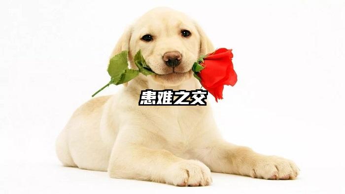 患难之交