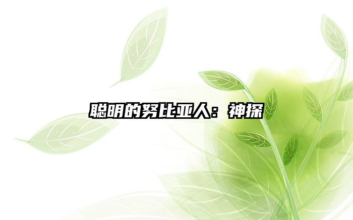 聪明的努比亚人：神探