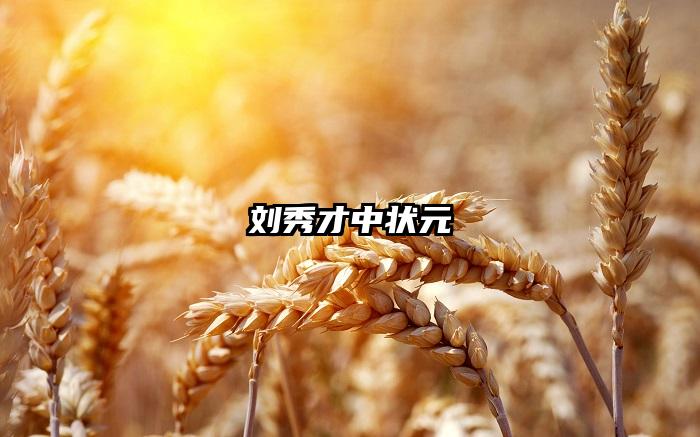 刘秀才中状元