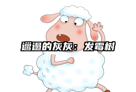 邋遢的灰灰：发霉树