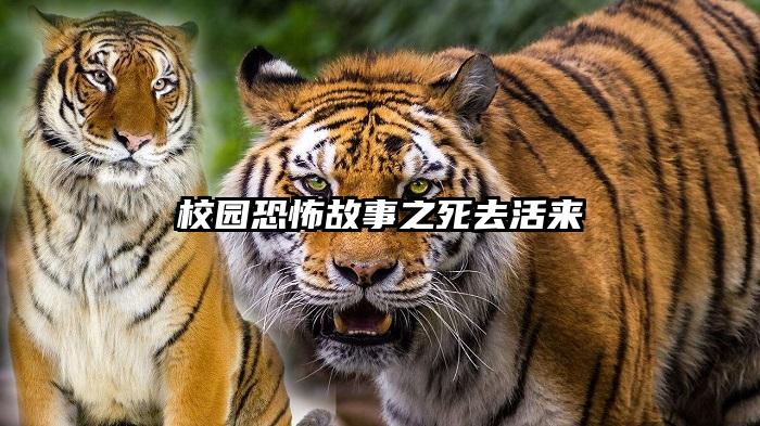 校园恐怖故事之死去活来