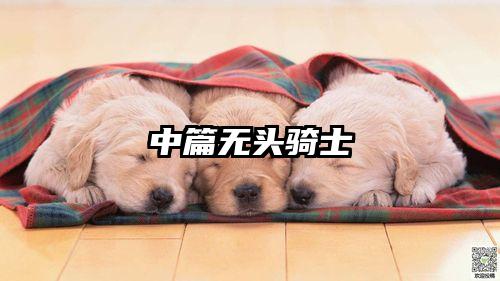 中篇无头骑士