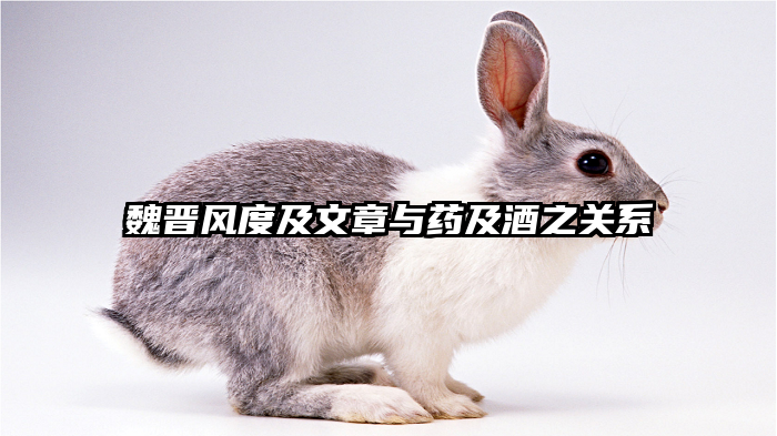 魏晋风度及文章与药及酒之关系
