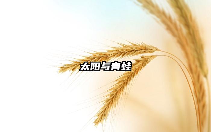 太阳与青蛙
