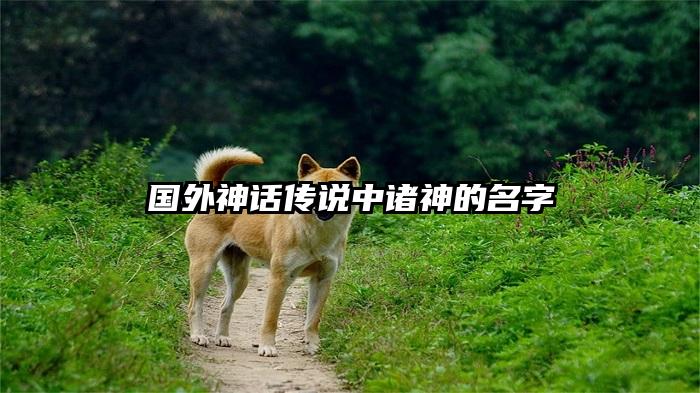 国外神话传说中诸神的名字