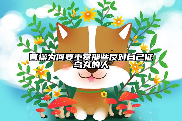 曹操为何要重赏那些反对自己征乌丸的人