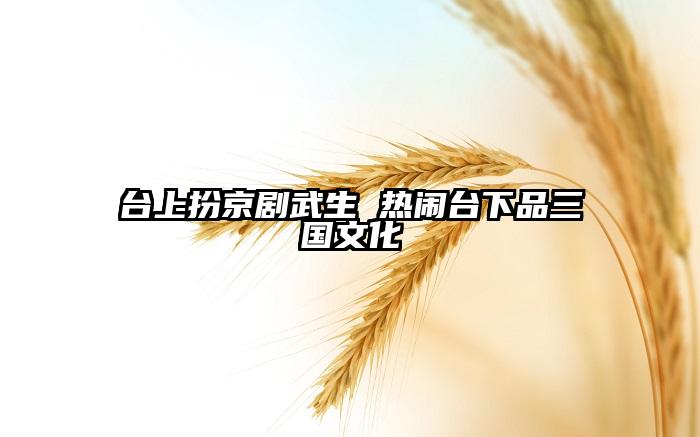 台上扮京剧武生 热闹台下品三国文化