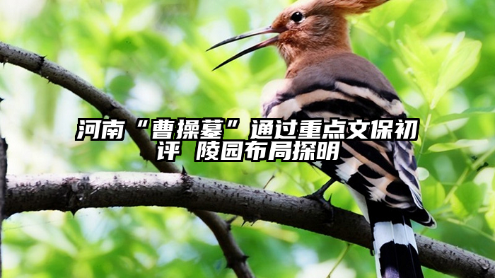 河南“曹操墓”通过重点文保初评 陵园布局探明