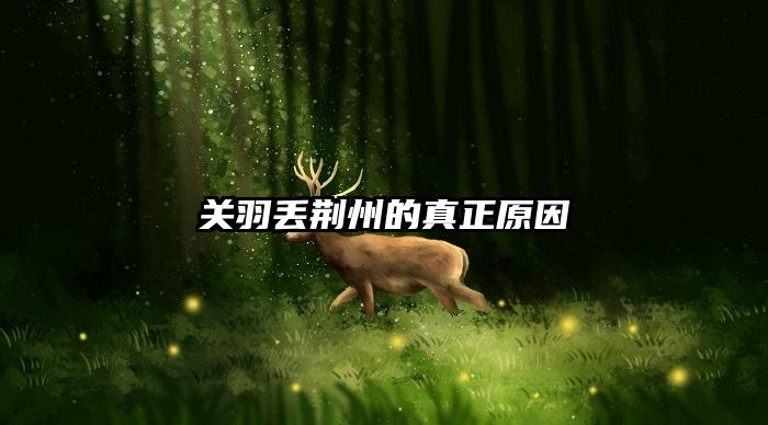 关羽丢荆州的真正原因