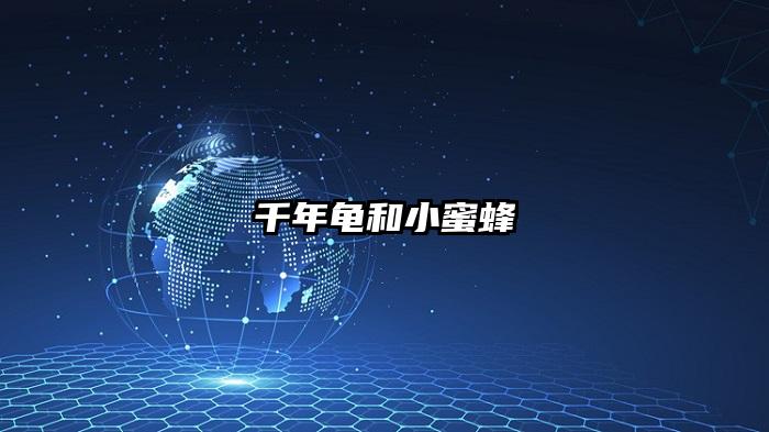 千年龟和小蜜蜂
