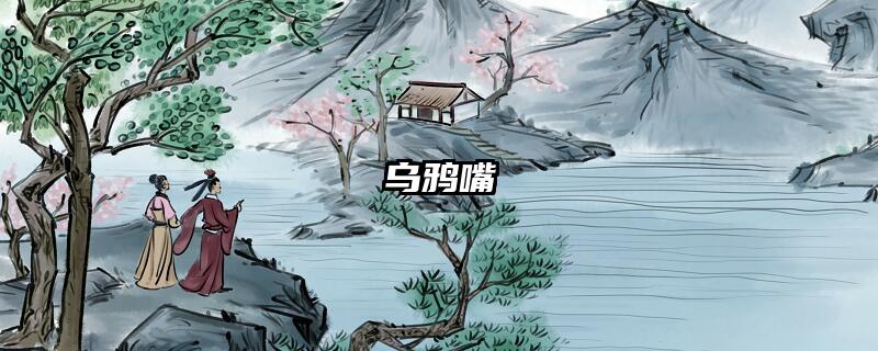 乌鸦嘴