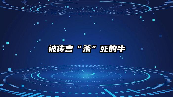 被传言“杀”死的牛