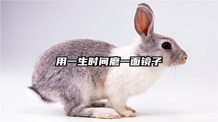 用一生时间磨一面镜子