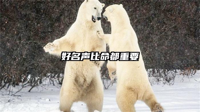 好名声比命都重要