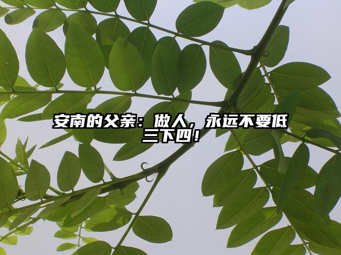 安南的父亲：做人，永远不要低三下四！