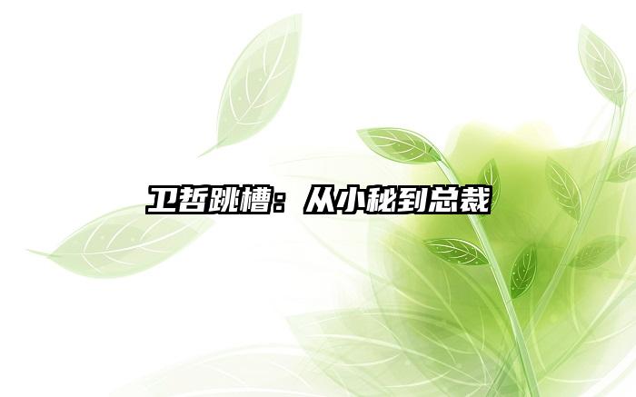 卫哲跳槽：从小秘到总裁